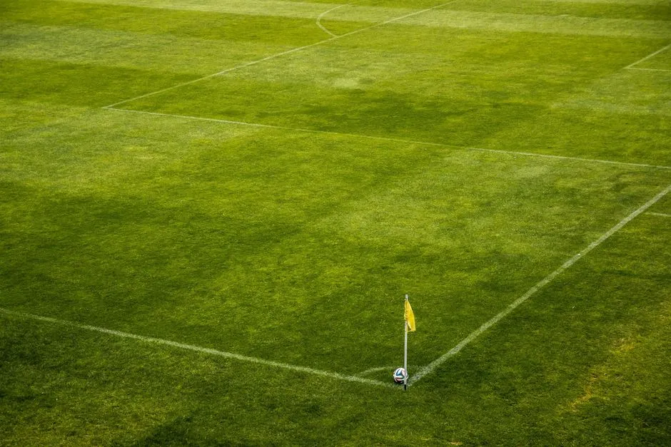 How to Read a Flag-Football Play Diagram